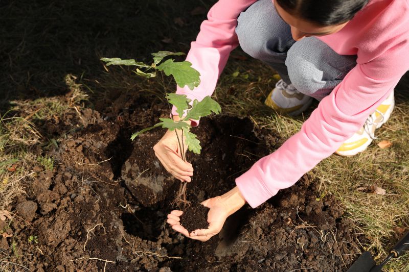 Privacy Trees Planting