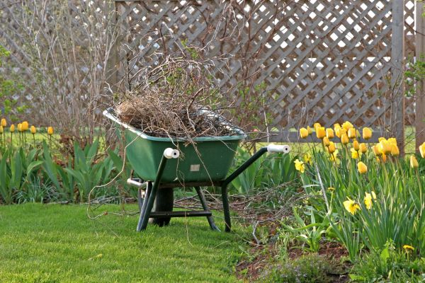 Flower Bed Cleanup Service in Buford