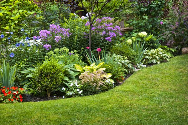 Flower Bed Service in Buford