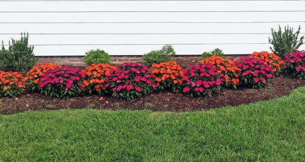 Flower Bed Weeding Service in Buford