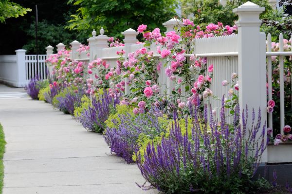 Garden Handyman Service in Buford