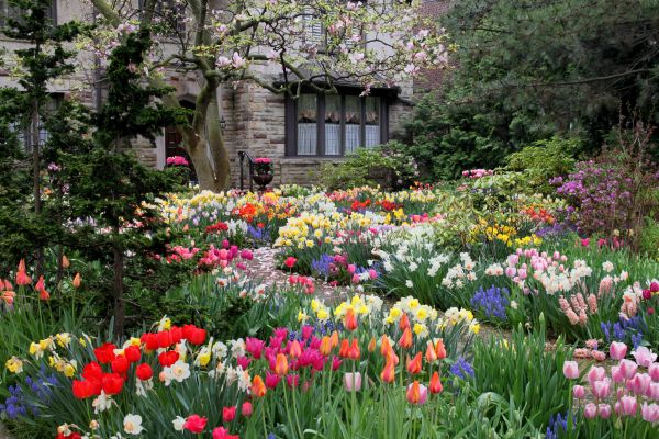 Garden Maintenance Service in Buford