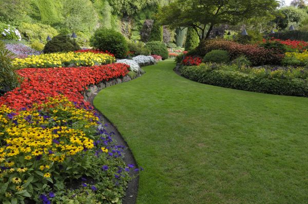 Landscaping Maintenance in Buford