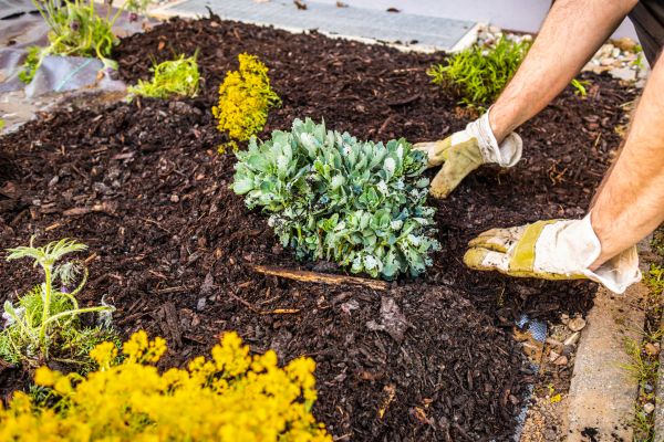 Weeding And Mulching in Buford