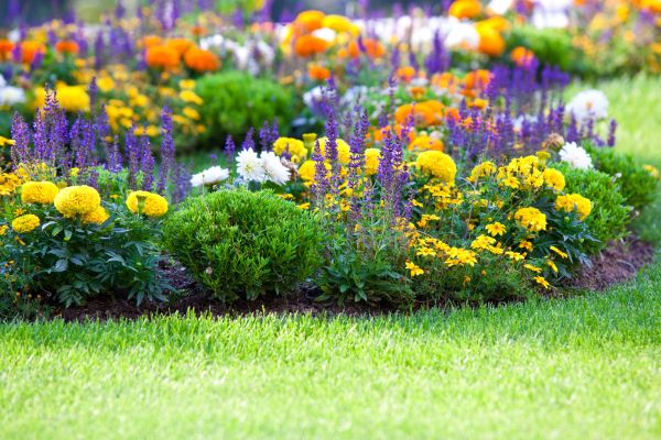 Garden Installation in Buford