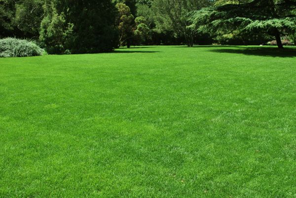 Lawn Landscaping in Buford