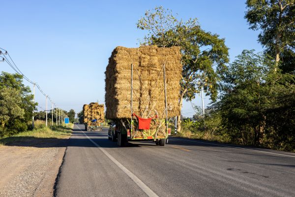Pine Straw Delivery in Buford