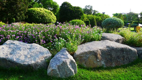 Boulder Landscaping in Buford