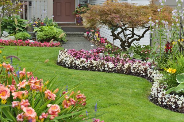 Perennial Landscaping in Buford