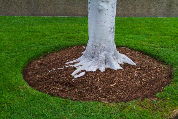 Brown Mulch Installation in Buford