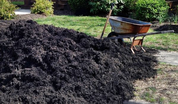 Black Mulch Installation in Buford