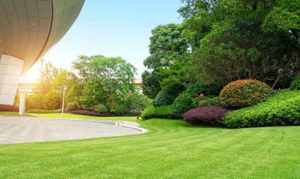 Business Landscape Design in Buford