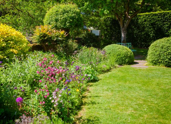 Yard Landscaping Service in Buford