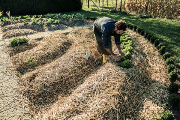 Straw Mulching Service in Buford