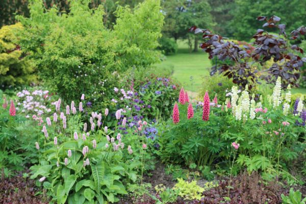 Flower Bed Planting in Buford