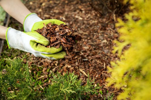 Garden Mulch Delivery in Buford
