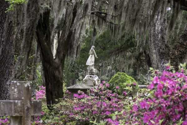 Cemetery Landscaping in Buford