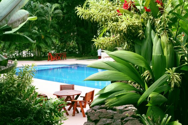 Tropical Garden Landscaping in Buford