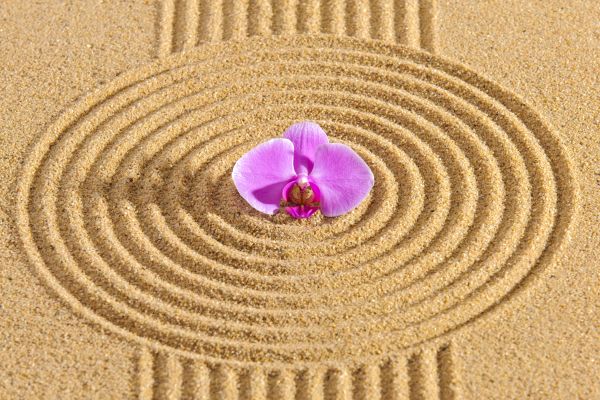 Sand Garden Landscaping in Buford
