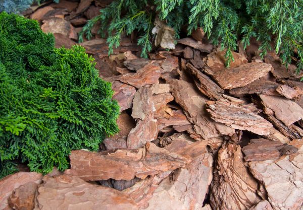 Pine Bark Installation in Buford