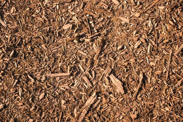 Wood Chips Removal in Buford