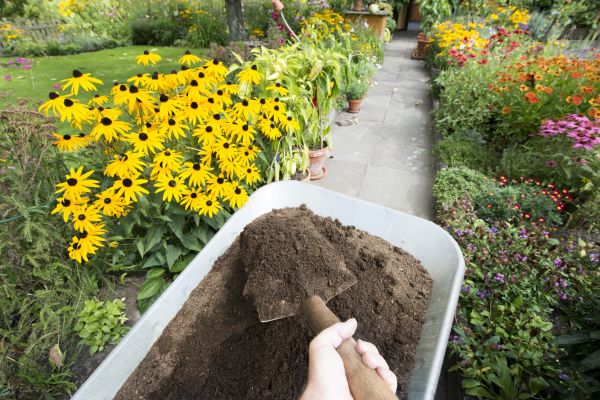 Topsoil Replacement in Buford