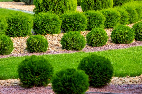 Bush Replacement in Buford