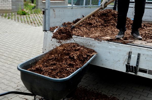 Cedar Mulch Delivery in Buford