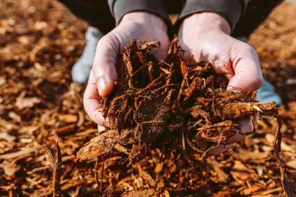 Bark Chips Delivery in Buford