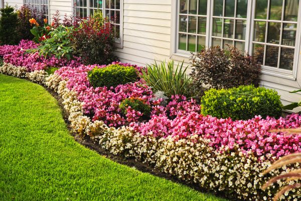 House Landscaping in Buford