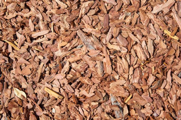Pine Mulch Delivery in Buford