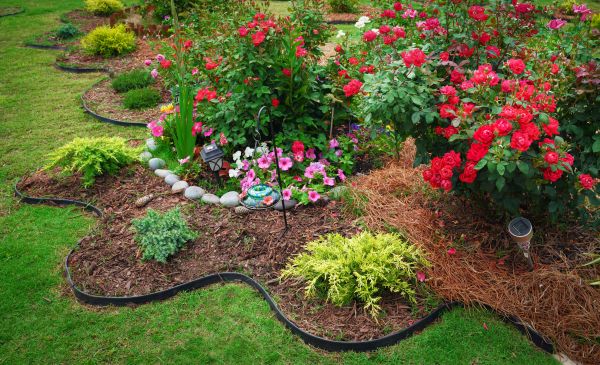 Floral Landscaping in Buford