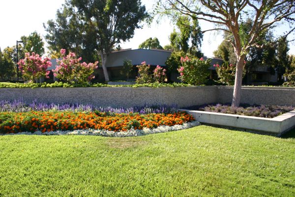 Commercial Landscape Service in Buford