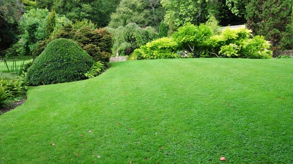 Commercial Landscape Design in Buford