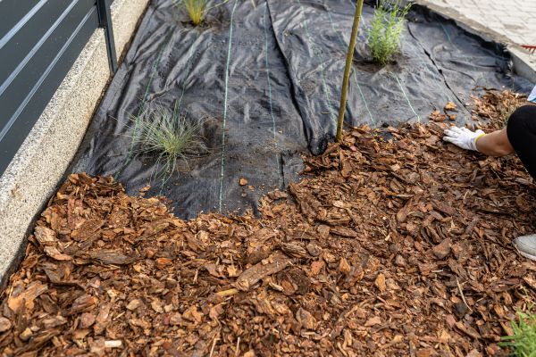 Pine Bark Spreading in Buford