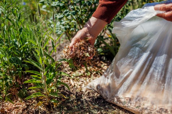 Wood Mulch Installation in Buford