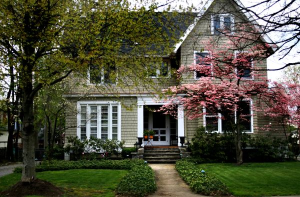 Ornamental Tree Planting in Buford