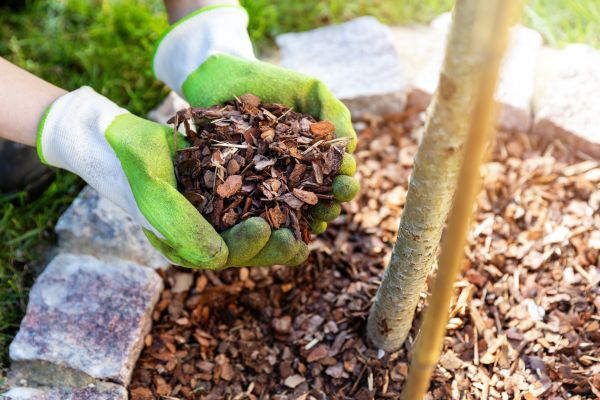 Tree Bark Delivery in Buford