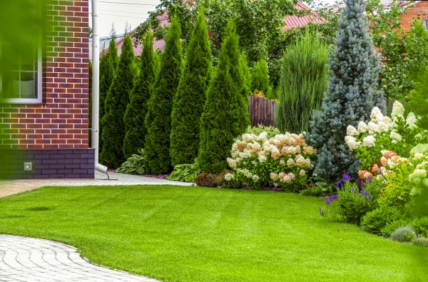 Spring Landscaping in Buford