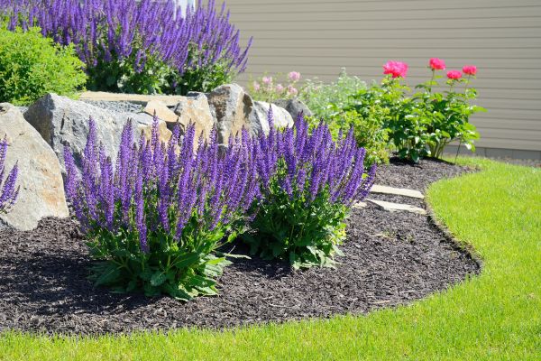 Landscape Planting Service in Buford