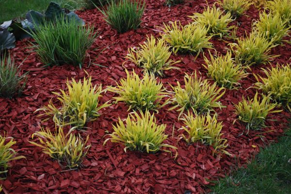 Red Mulch Installation in Buford