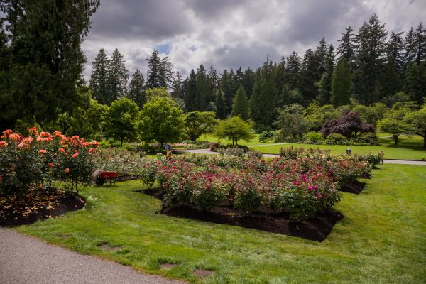 Flower Garden Landscaping in Buford