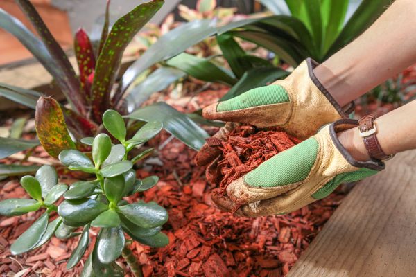 Cedar Mulch Installation in Buford