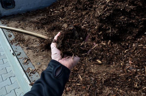 Condo Mulching in Buford